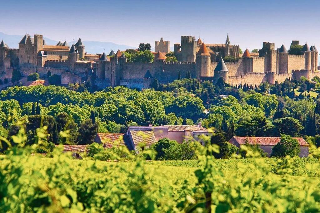 Belle Demeure De Caractere Carcassonne Exterior foto